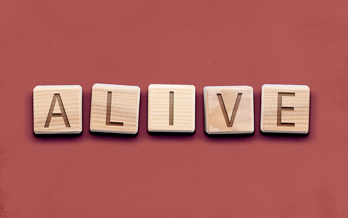 blog-tot-leven-brengen