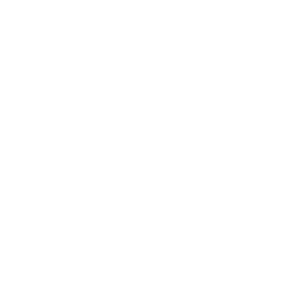 logo audax2
