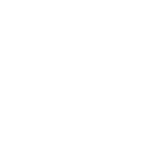 Logo baanbrekend organiseren